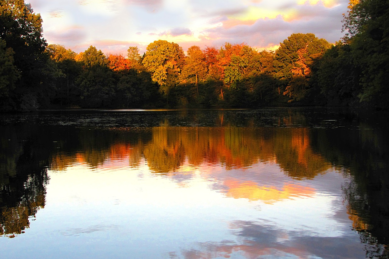 nature lake evening sun free photo