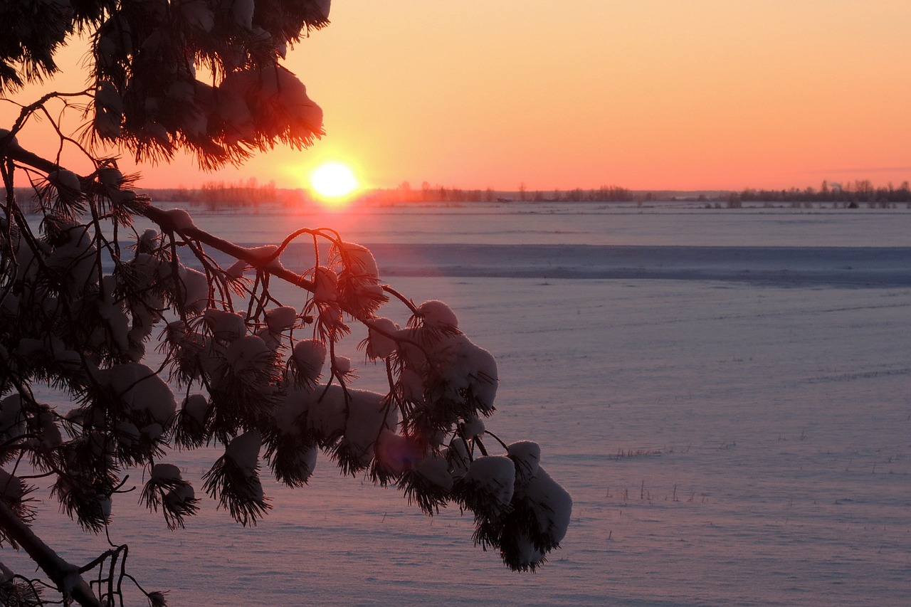 nature sunset winter free photo