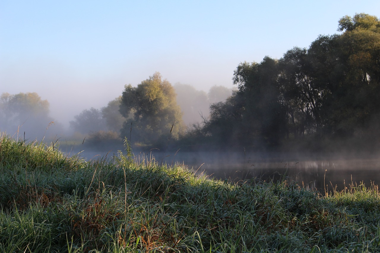 nature morning mist landscape free photo
