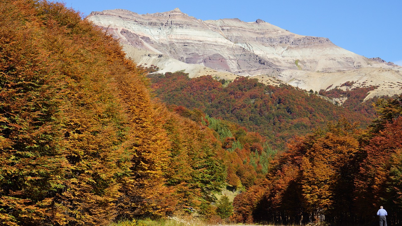 mountain chile nature free photo