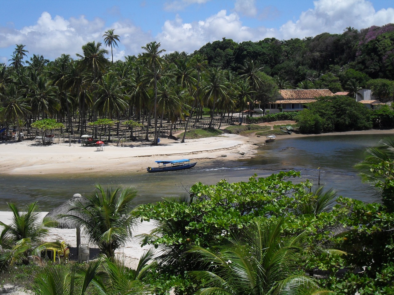 nature brazil sky free photo