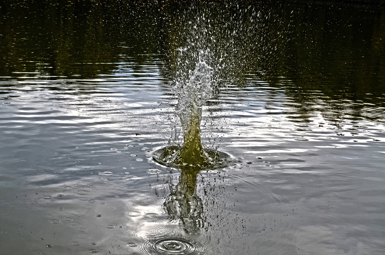 nature water splash free photo