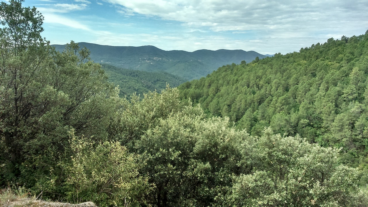 nature landscape cevennes free photo