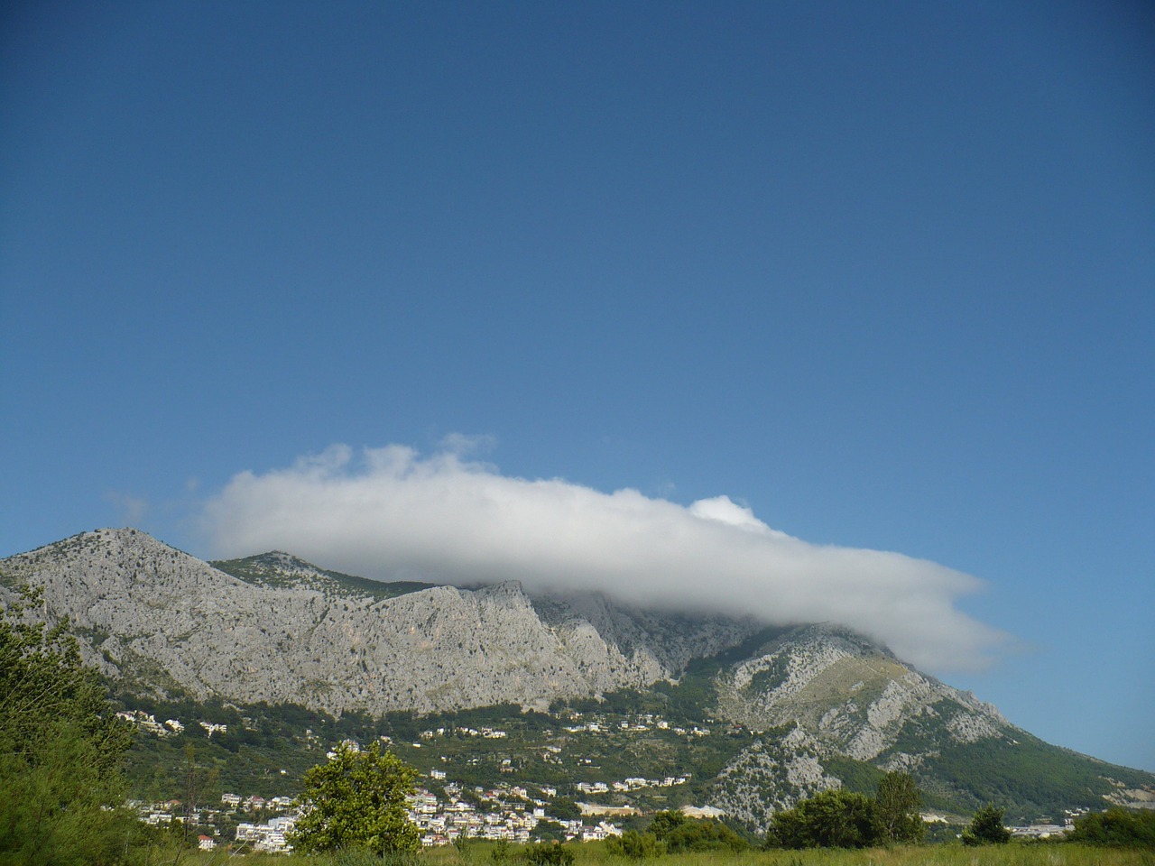 nature blue sky summer free photo