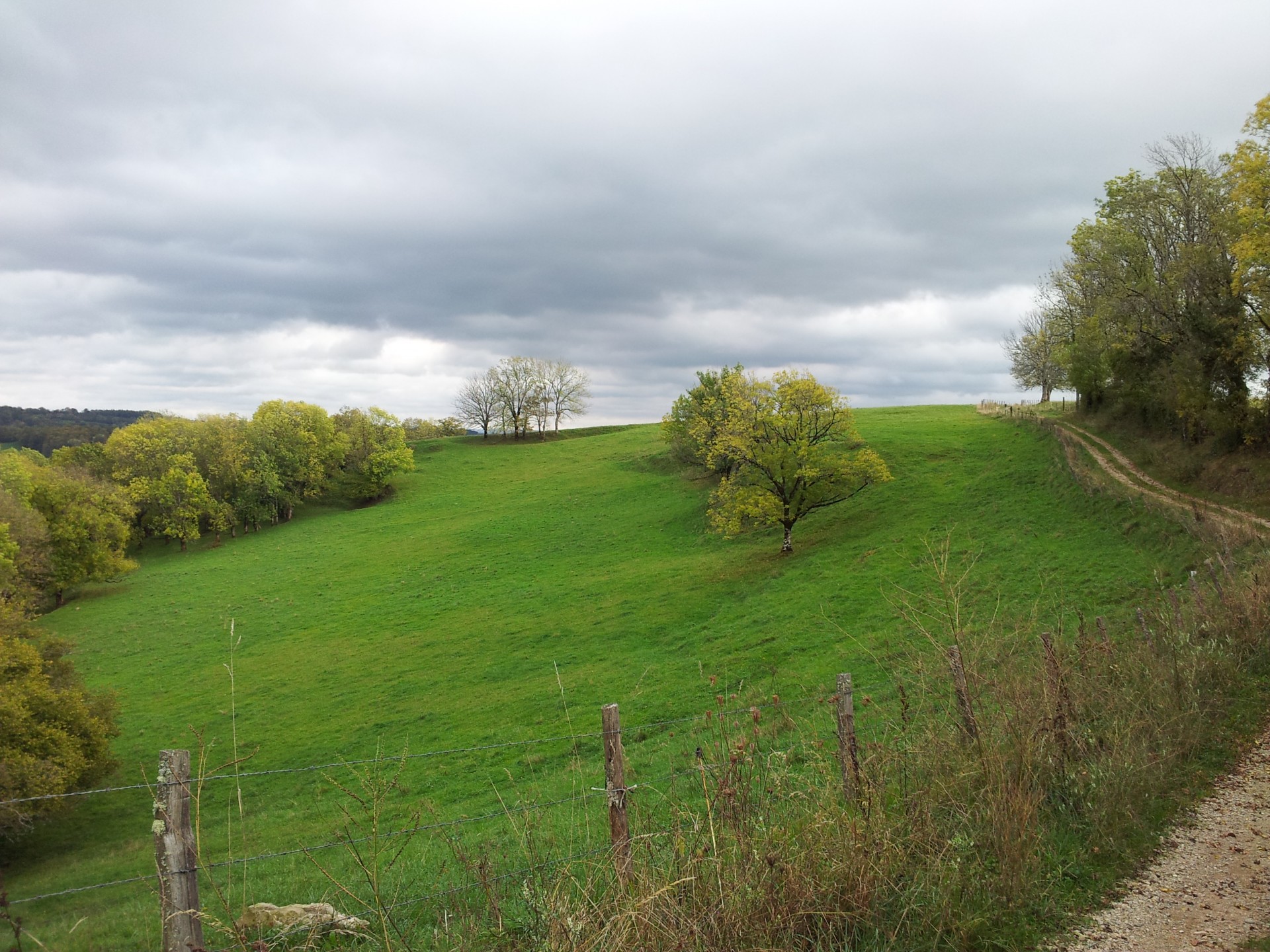 fields nature aveyron free photo