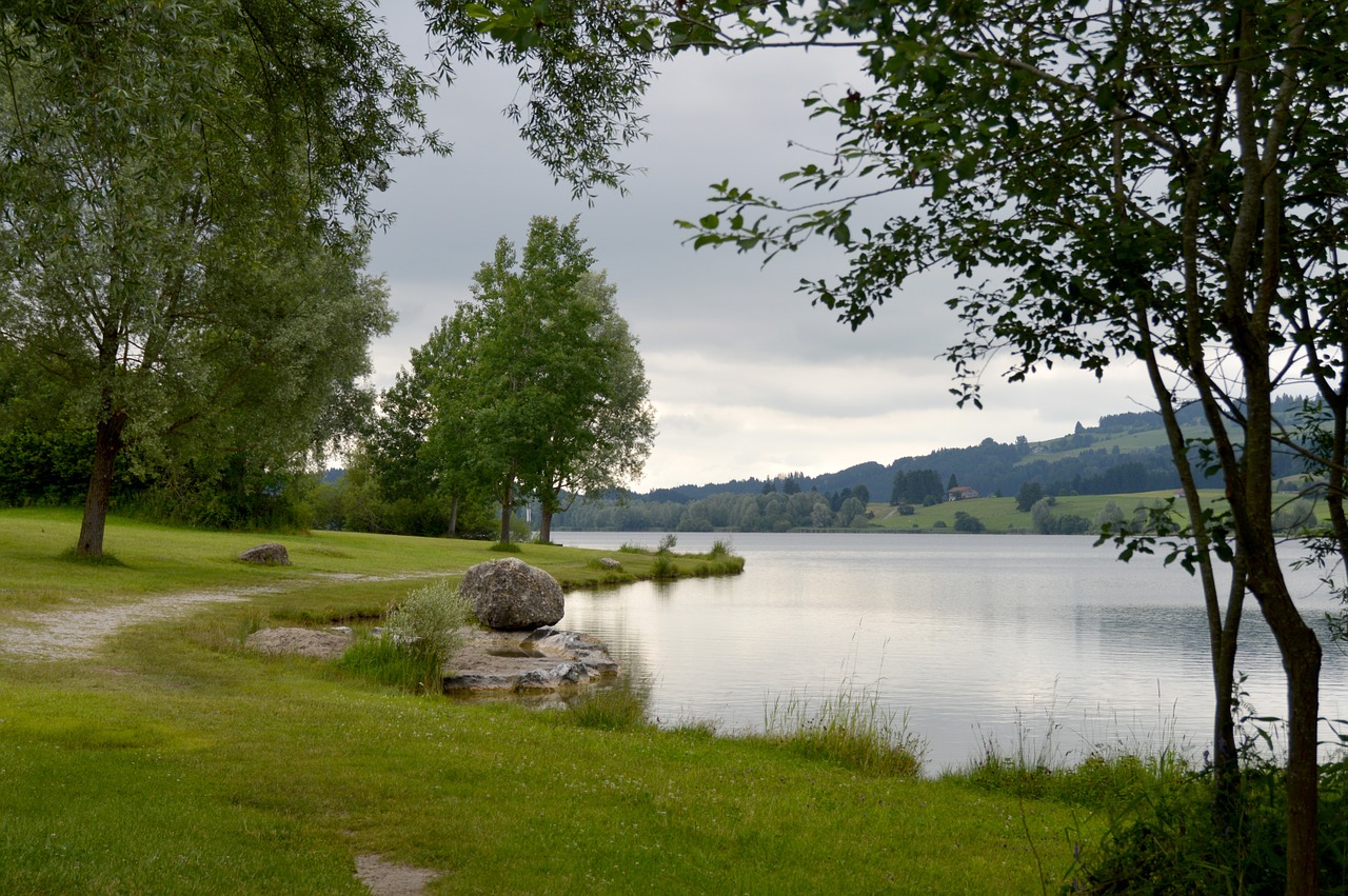 nature conservation badesee reservoir free photo