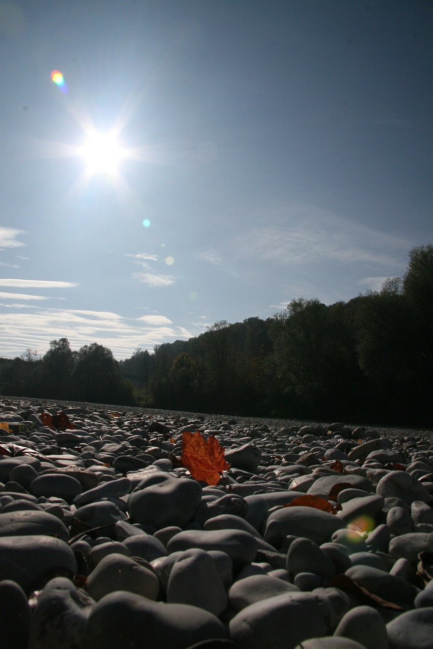 nature idyll stones butterfly free photo