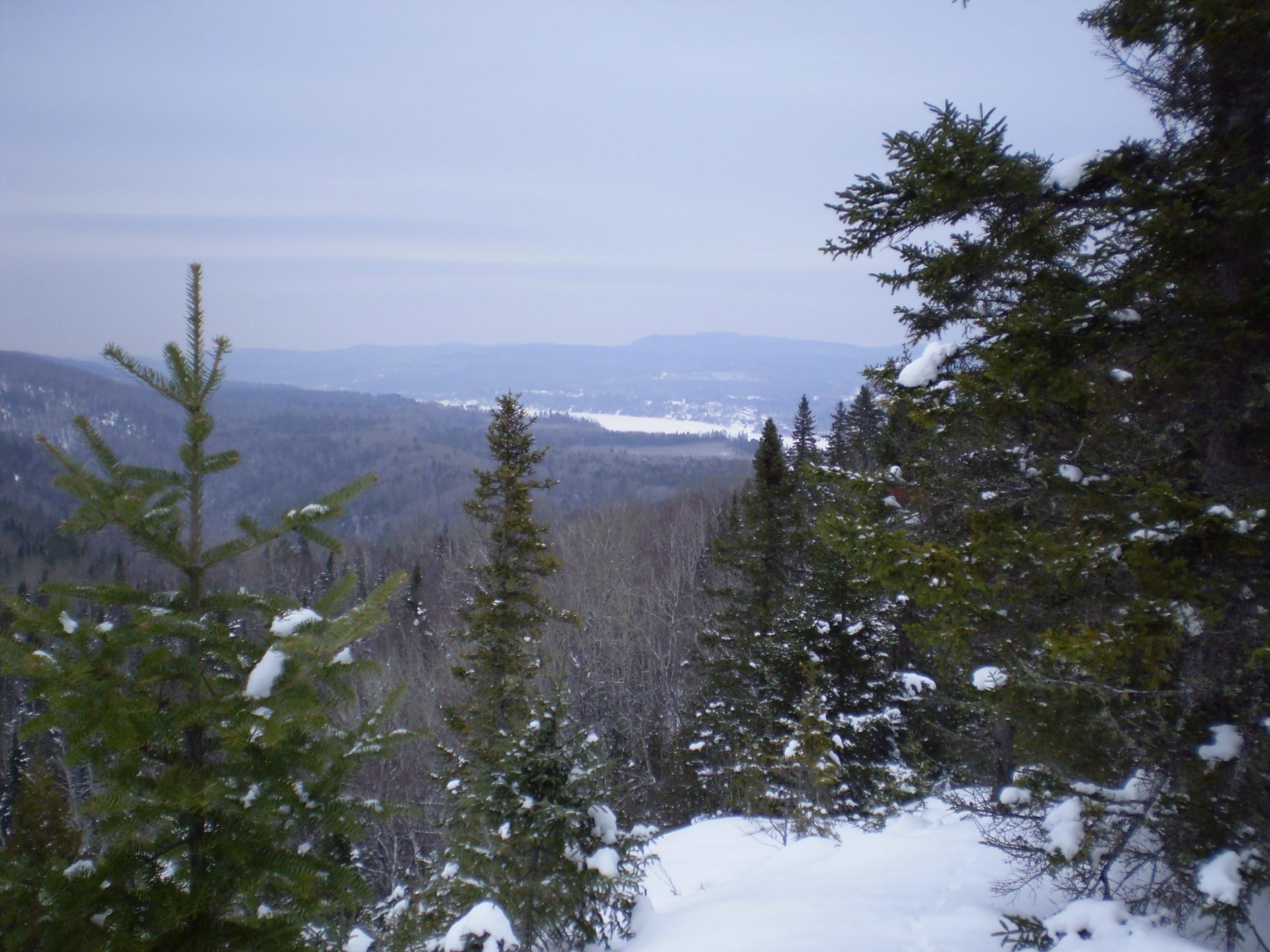 mountain winter snow free photo