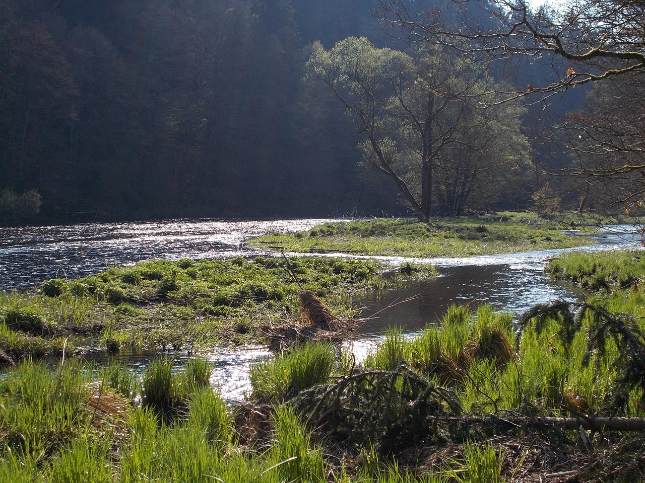 nature recording river landscape of course free photo