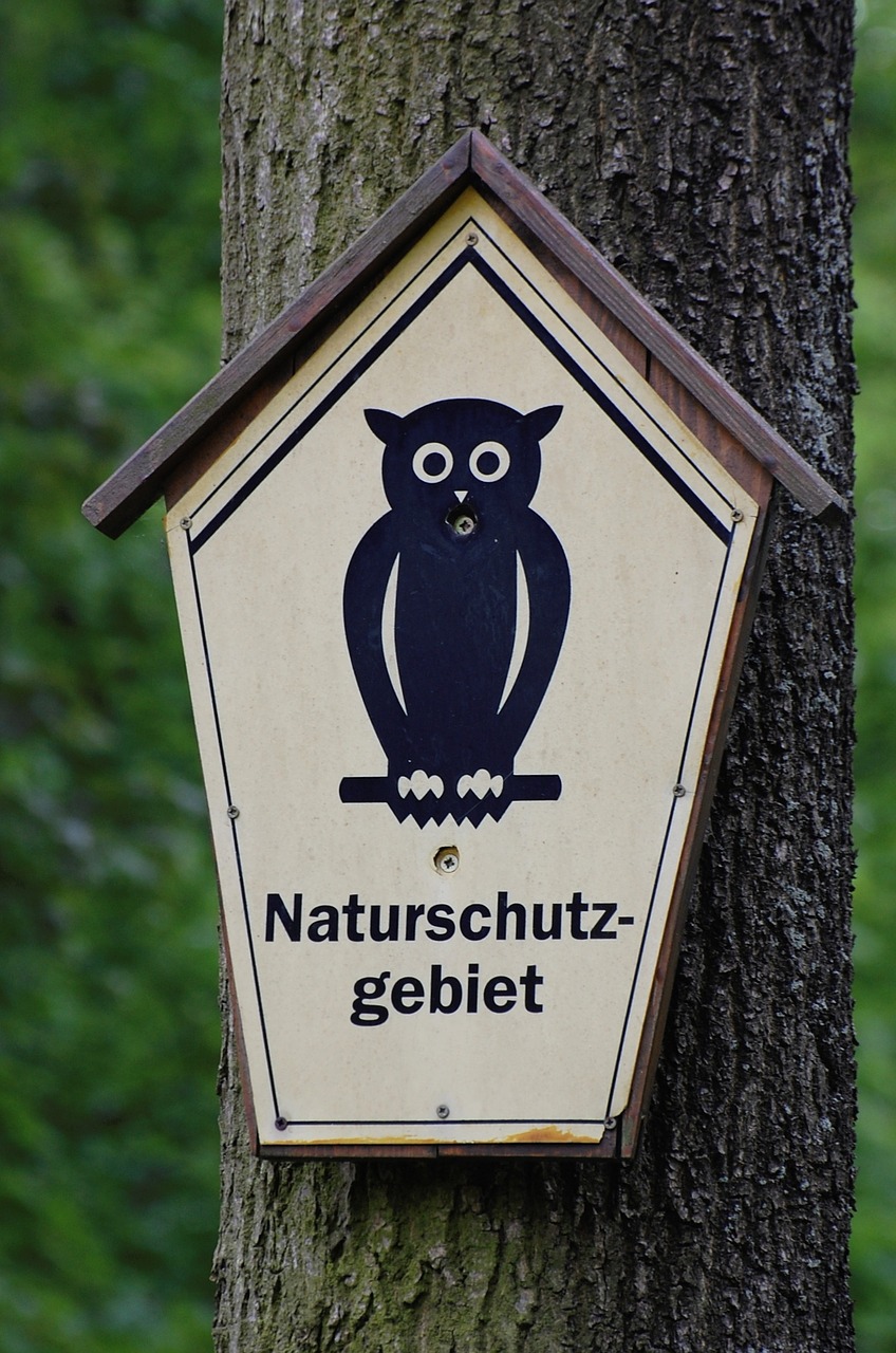nature reserve shield owl free photo