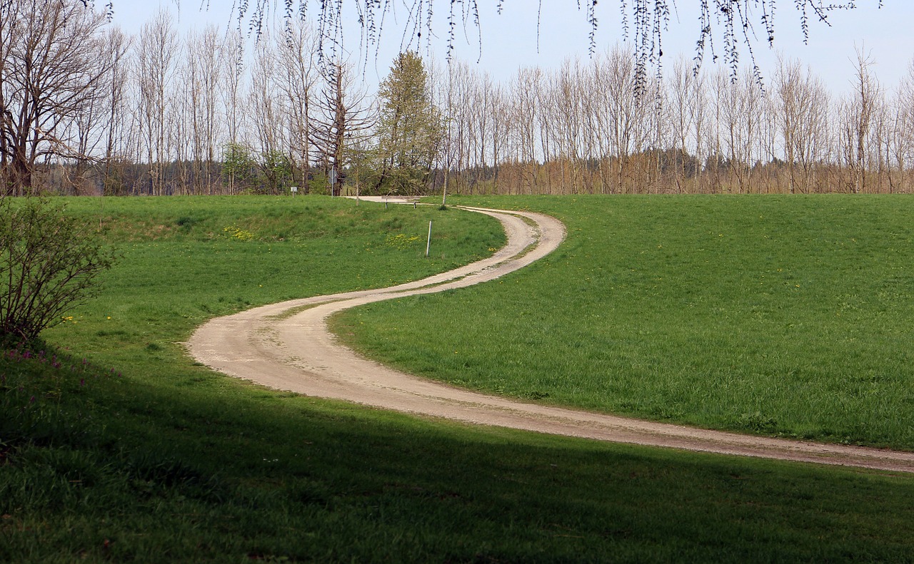 nature trail meadow away free photo