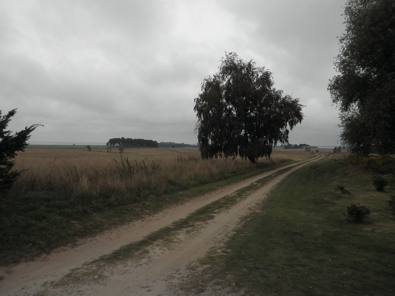 nature trail cloudier day sand road free photo