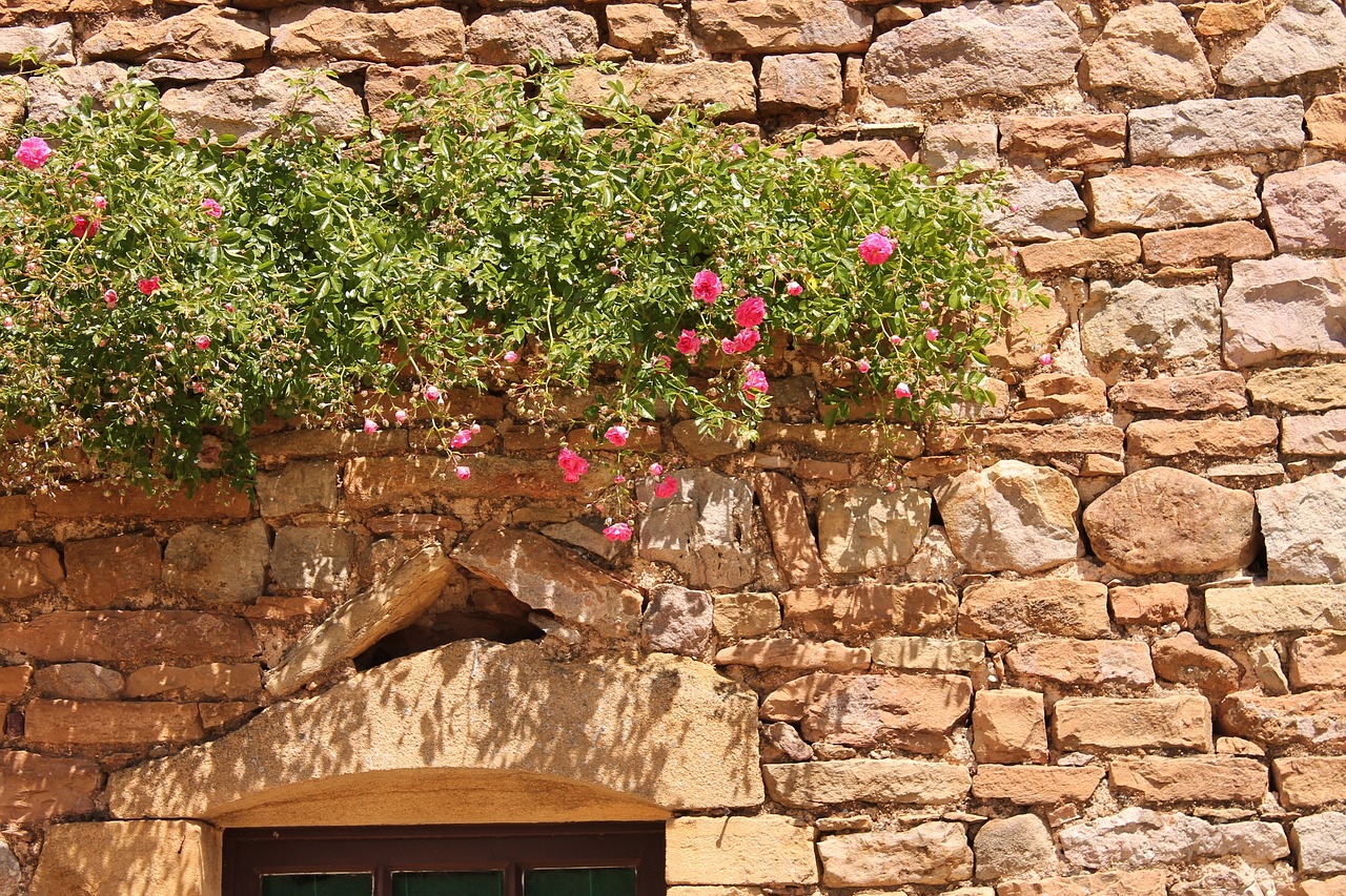 nature wall natural stones stone wall free photo