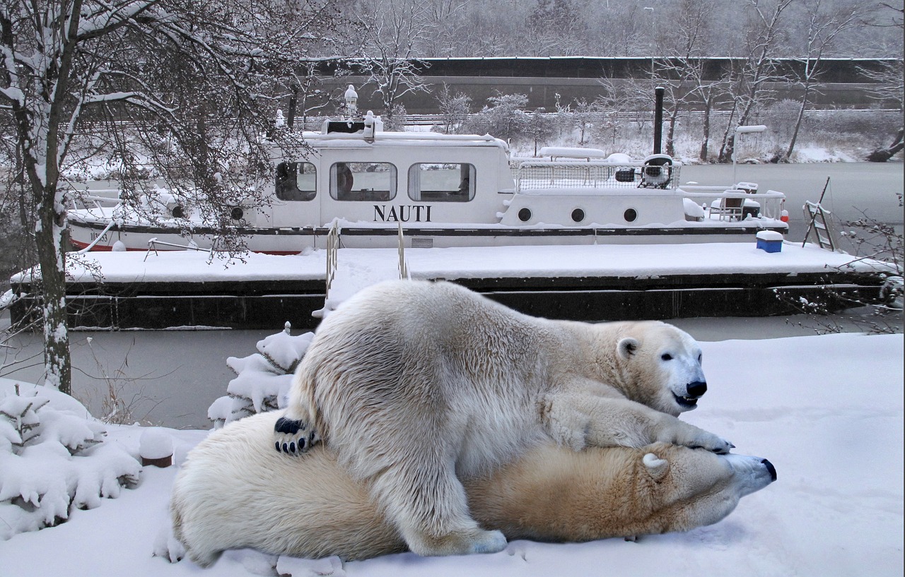 nauti ship winter free photo