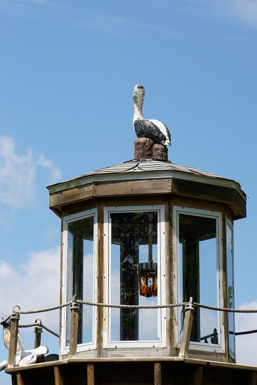 nautical lighthouse seagull free photo