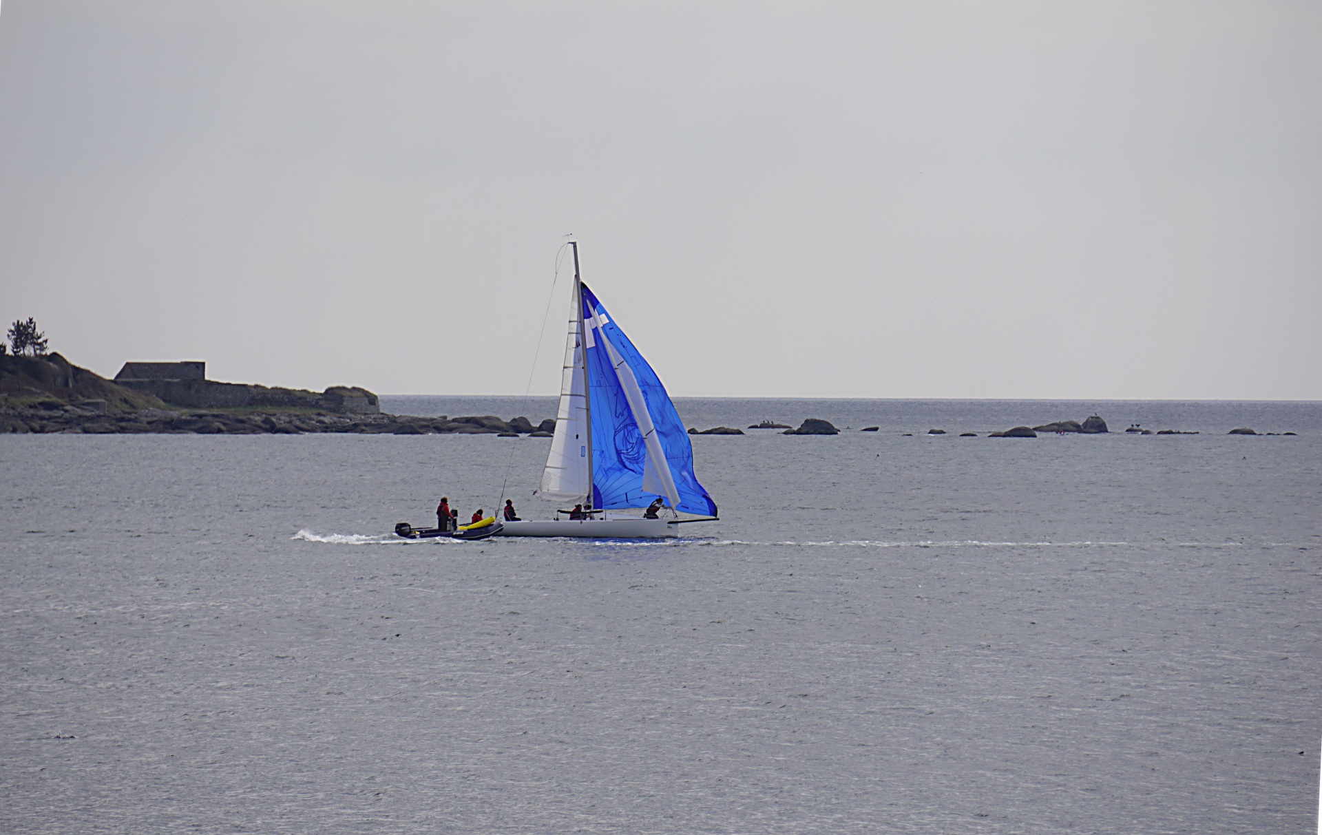 sailing sailboat wind free photo