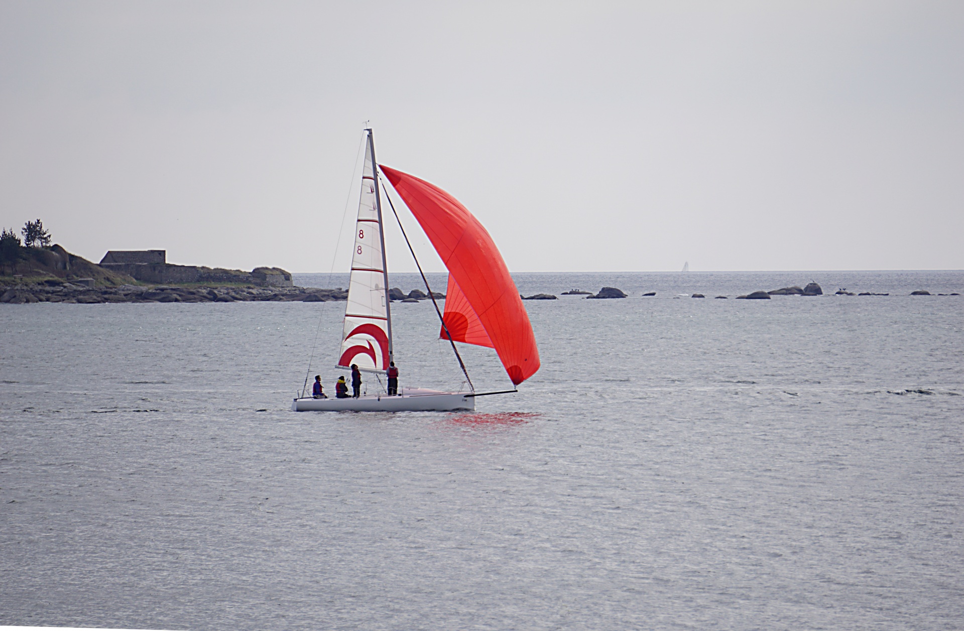 boat sailboat sailing free photo