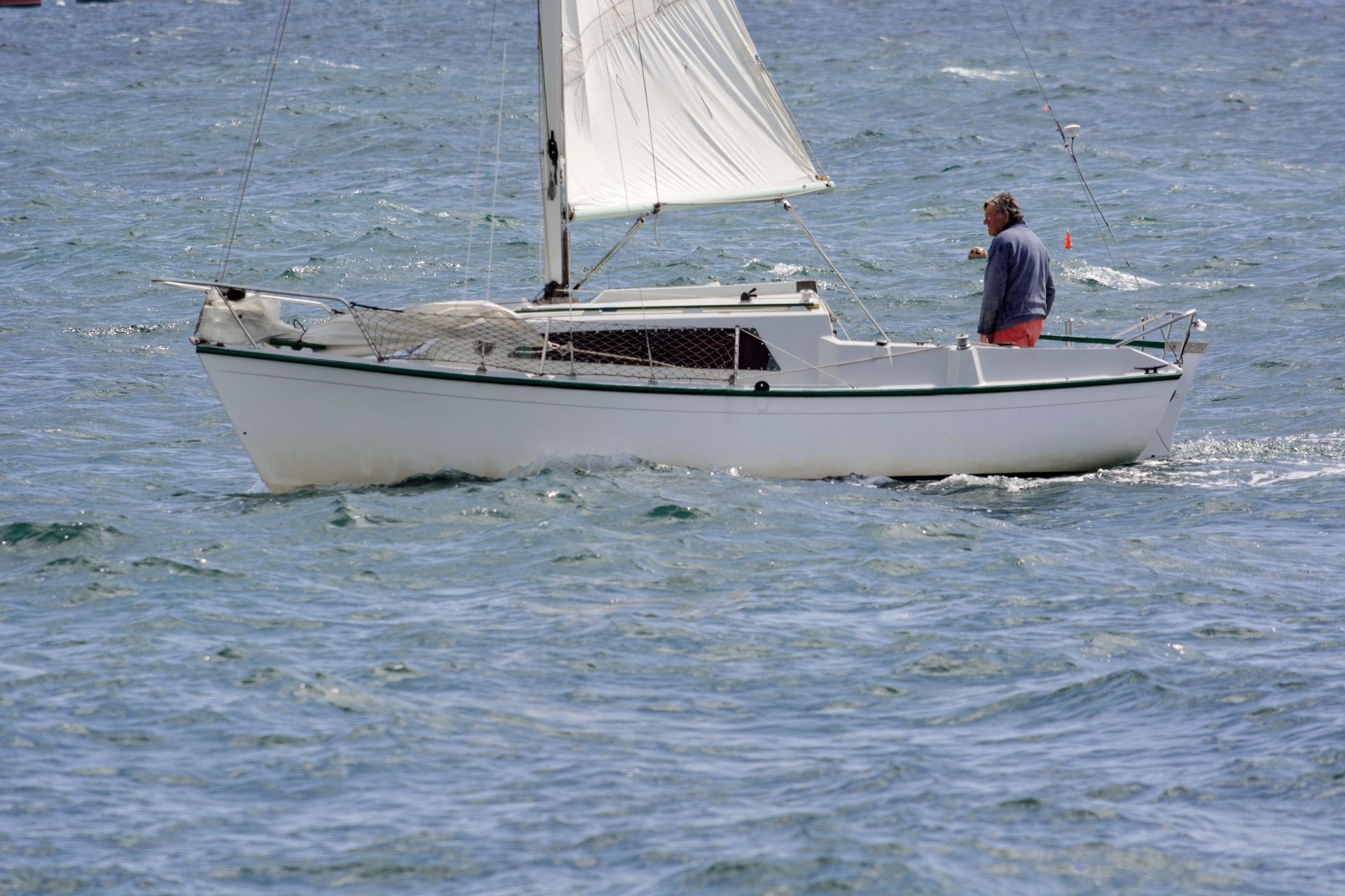 boat sailboat sailing free photo