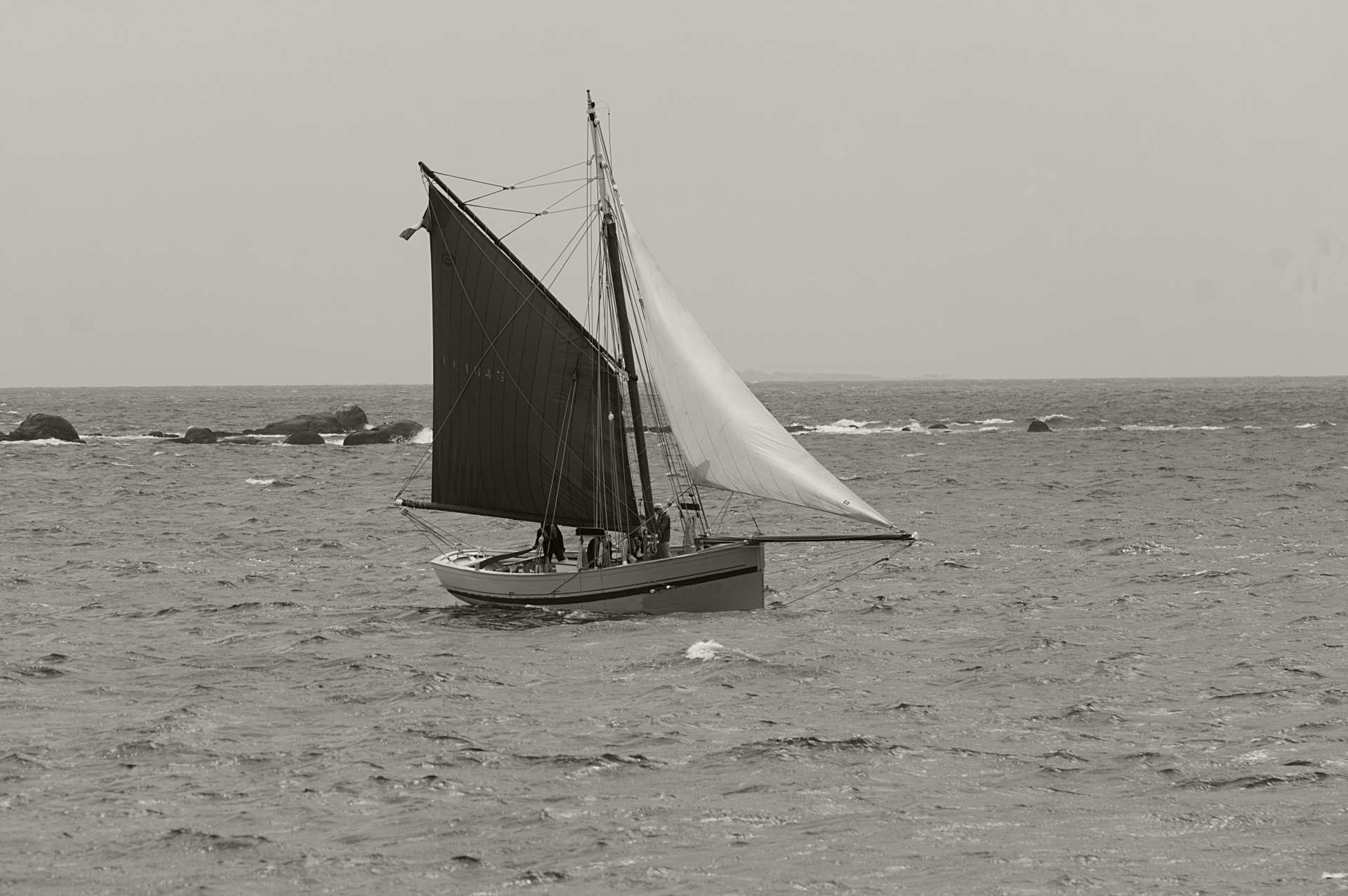 boat sailboat sailing free photo