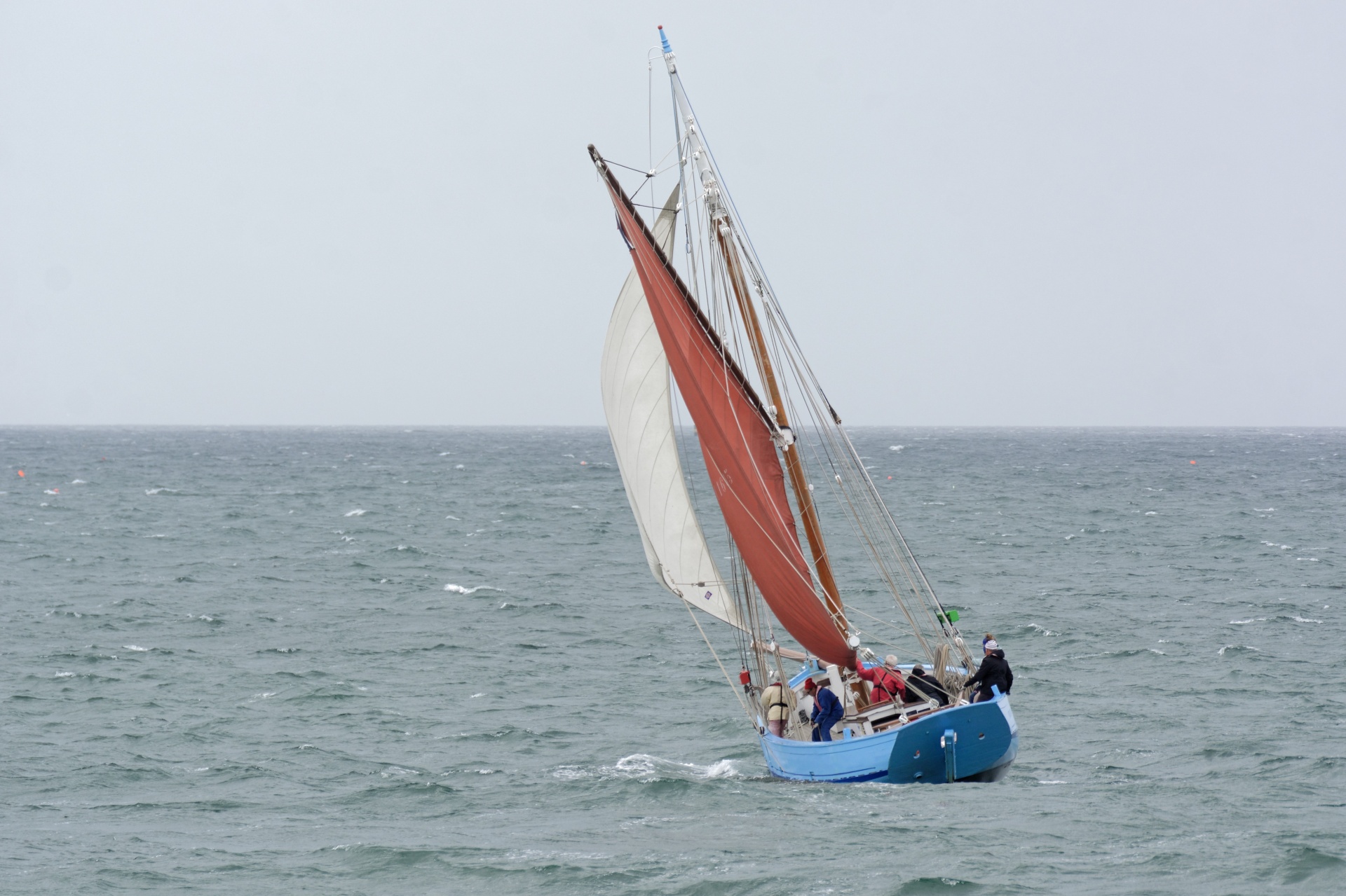 boat sailboat sailing free photo