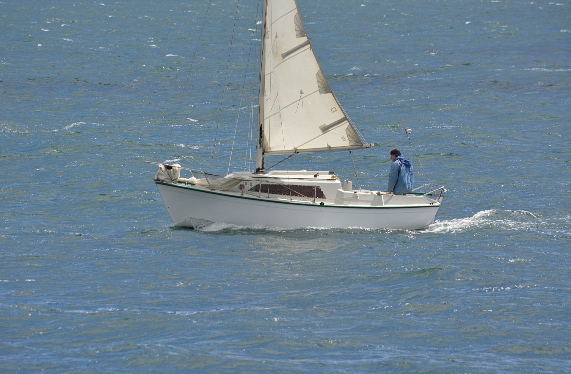 boat sail wind free photo