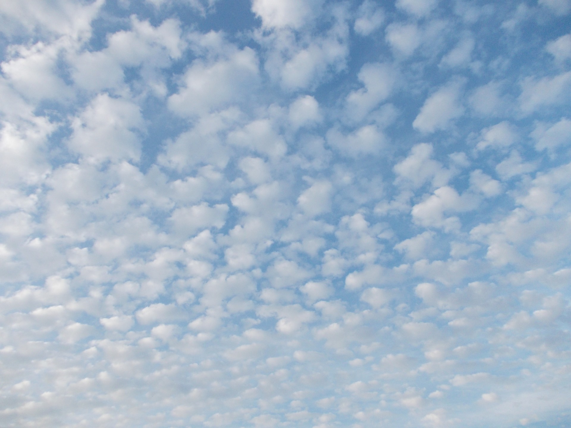 summer day sky free photo