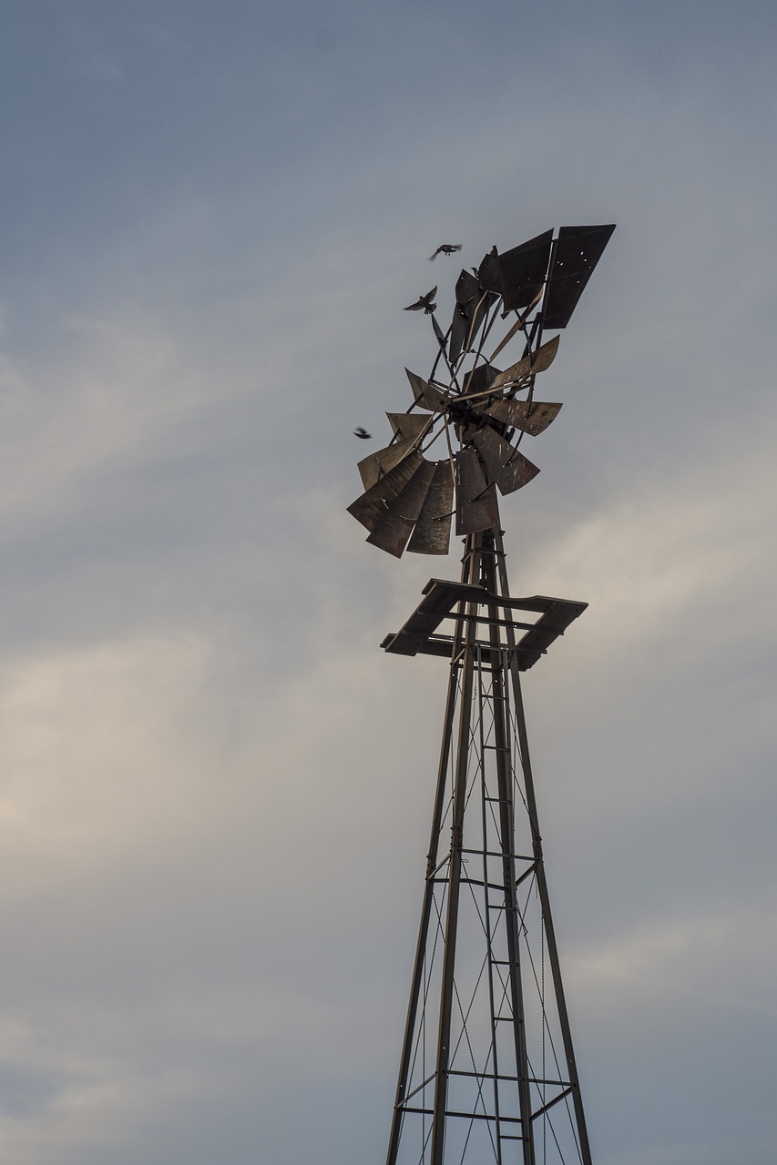 nebraska windmill birds free photo