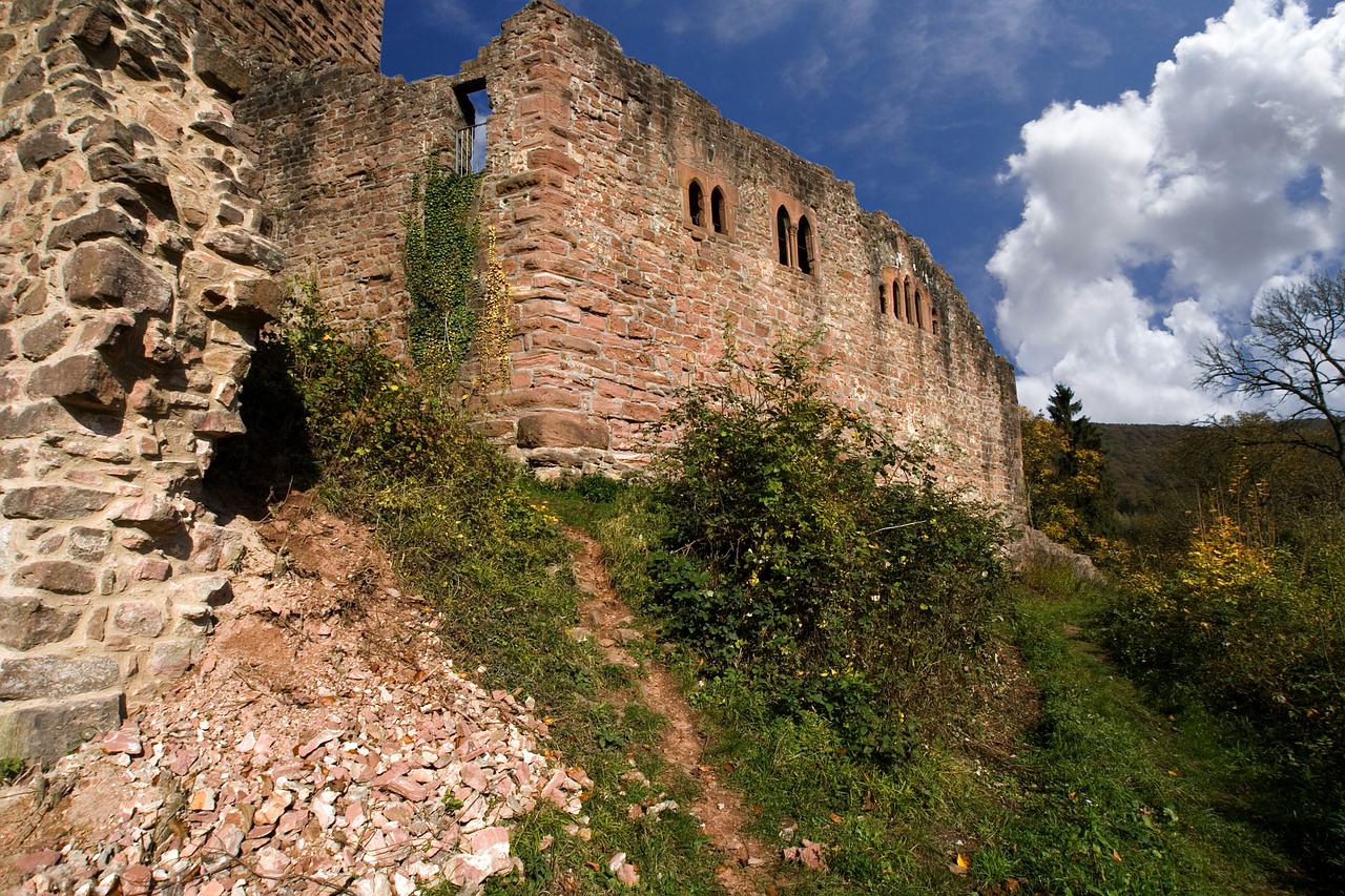 neckarsteinach castle ruin free photo