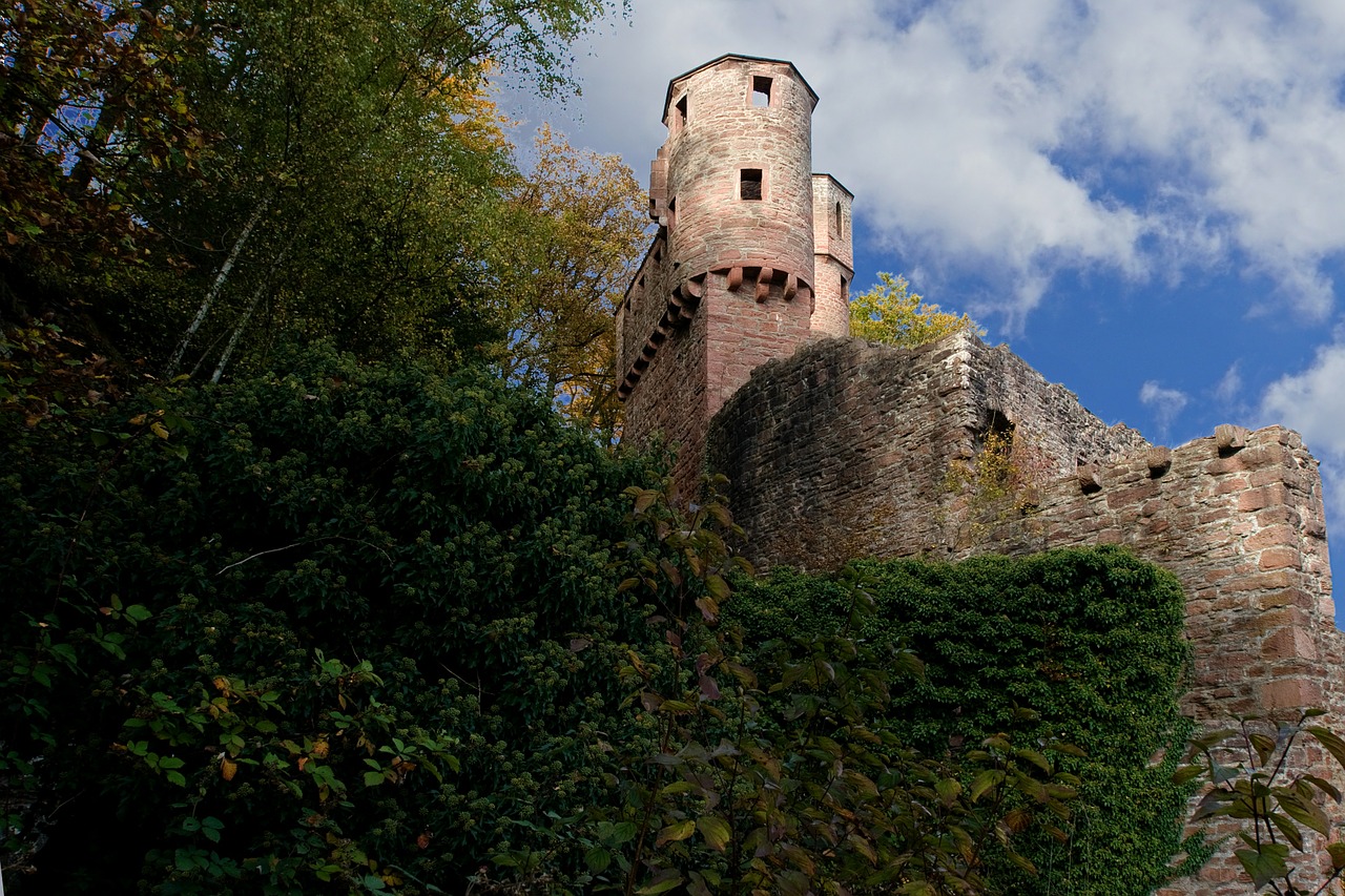 neckarsteinach castle neckar free photo