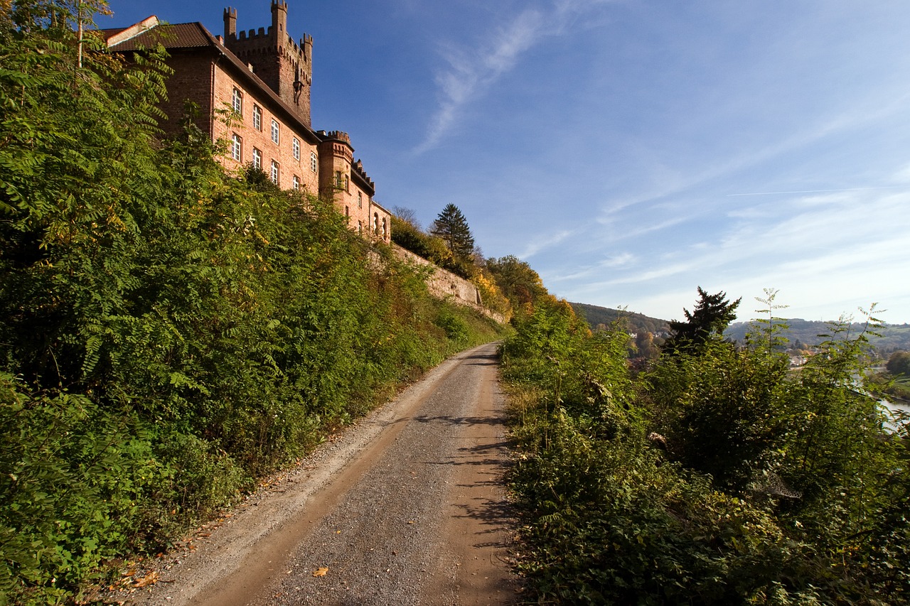 neckarsteinach castle lane free photo