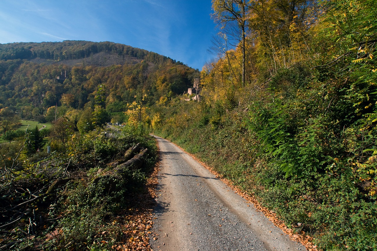 neckarsteinach odenwald autumn free photo