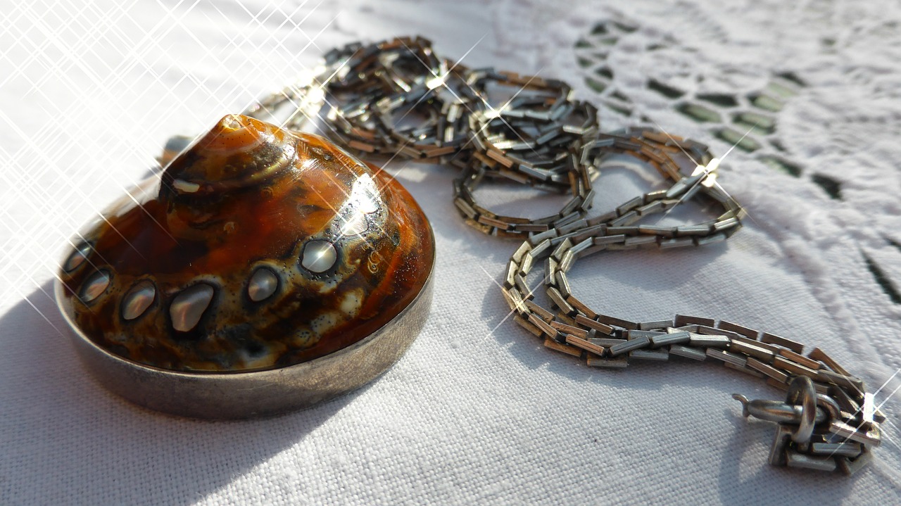 necklace snail silver free photo