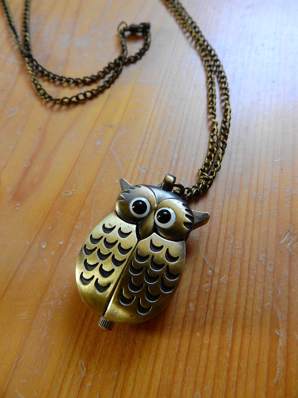 necklace chain owl free photo