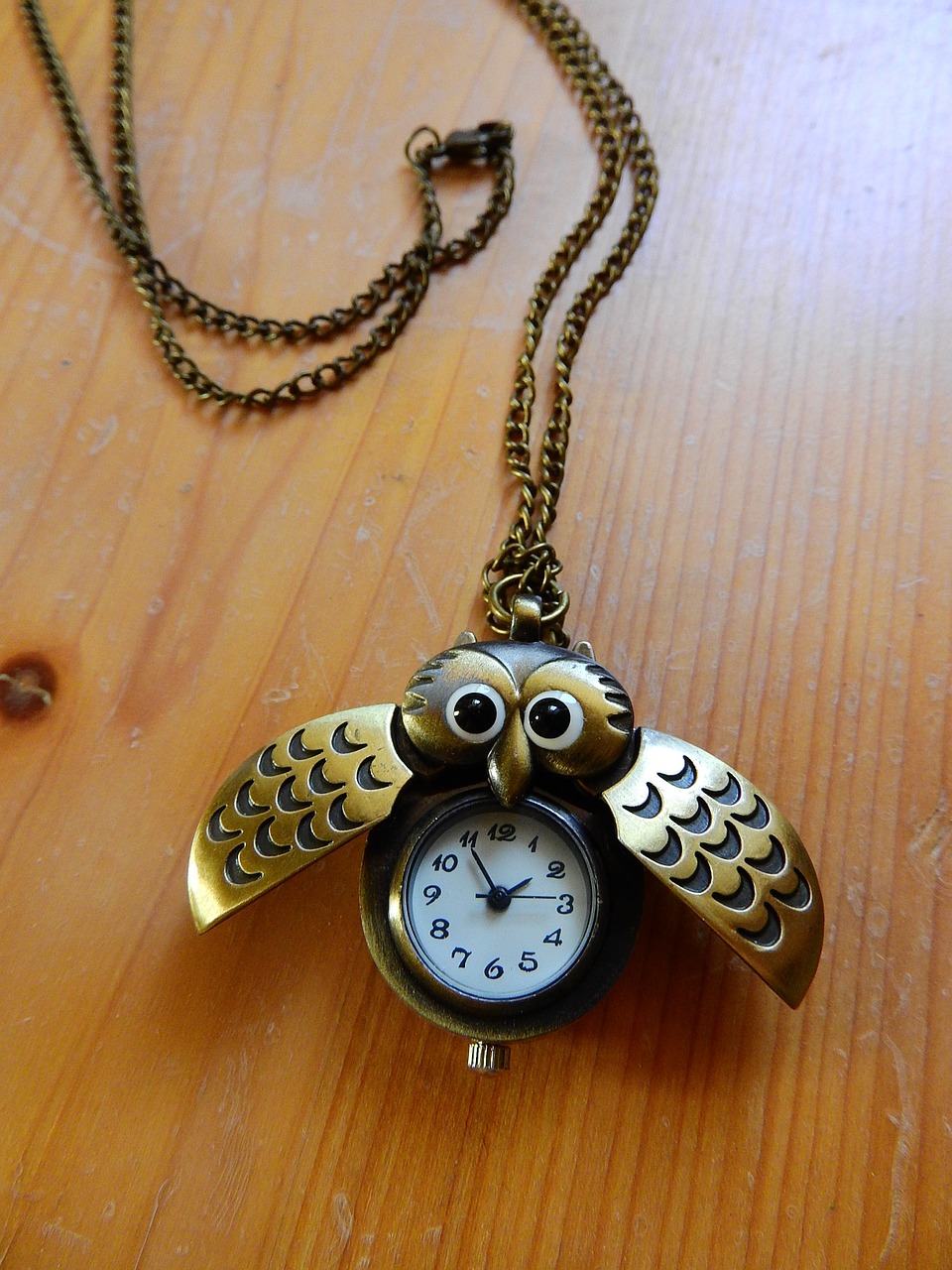 necklace chain owl free photo