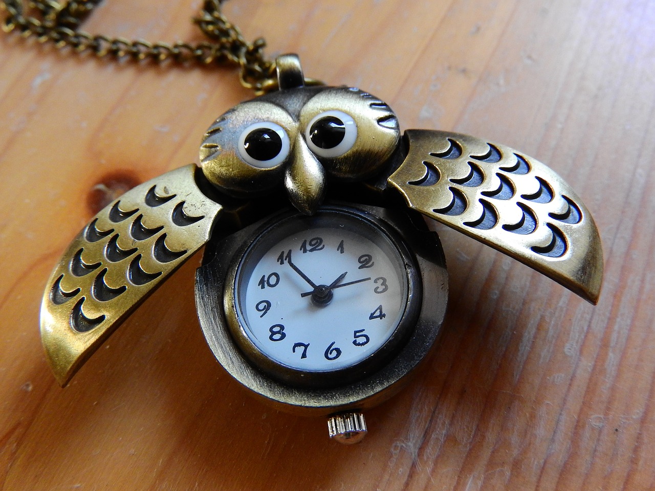 necklace chain owl free photo