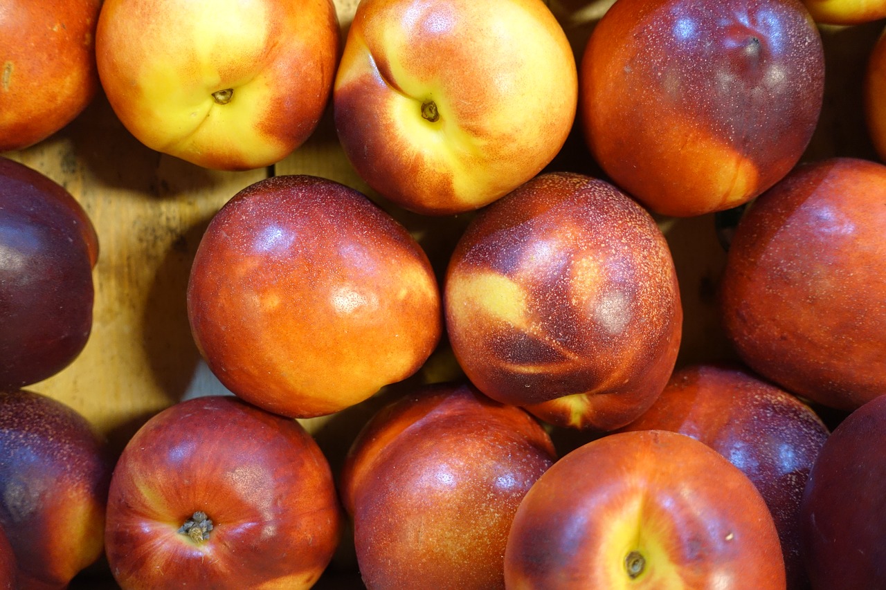 nectarine peaches delicious free photo
