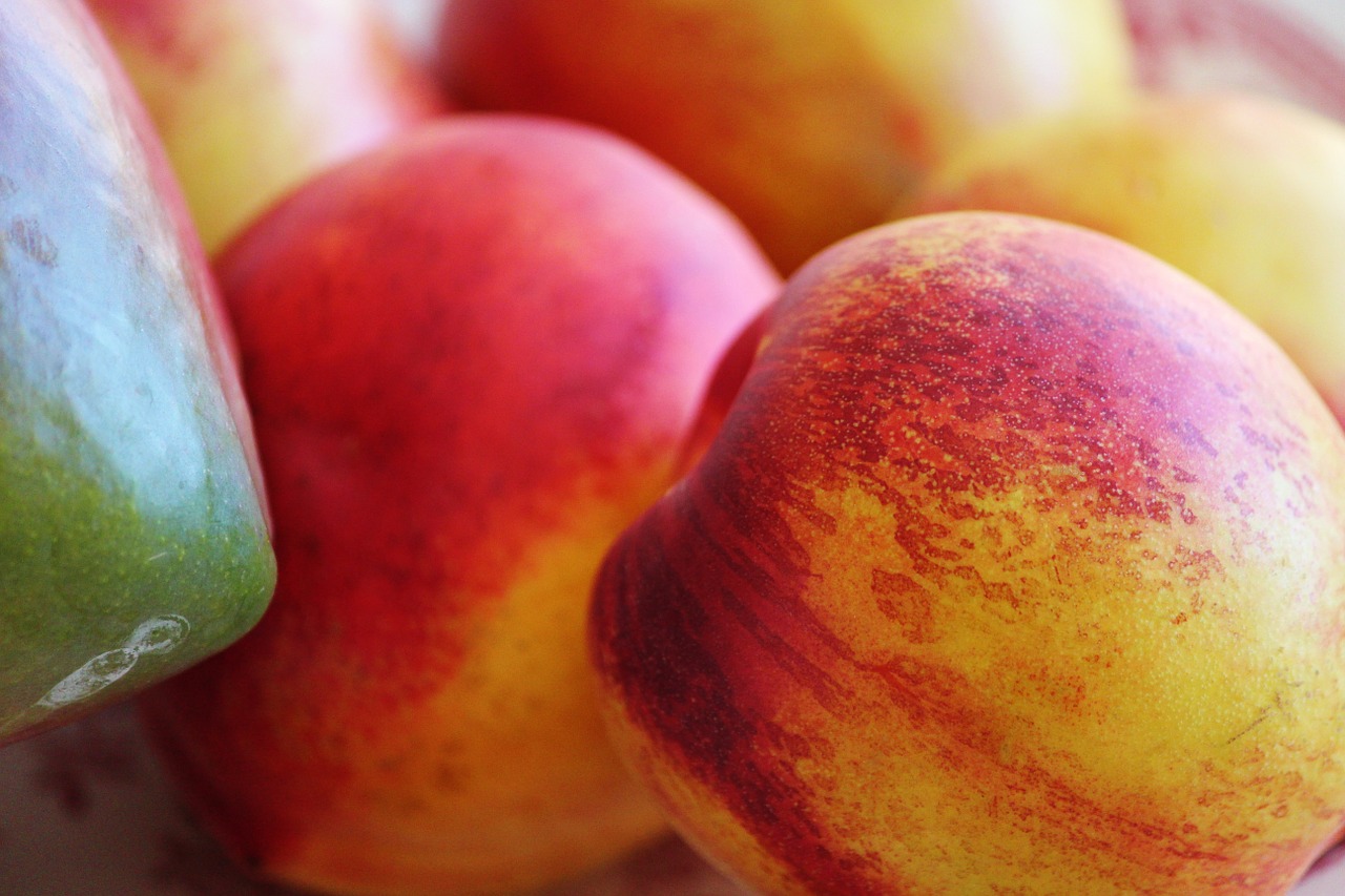 nectarine mango fruits free photo