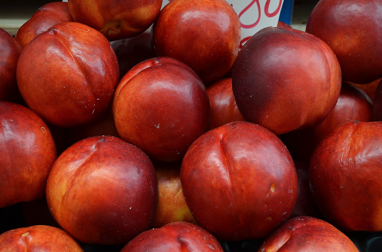 nectarines red fruit fruit stall free photo