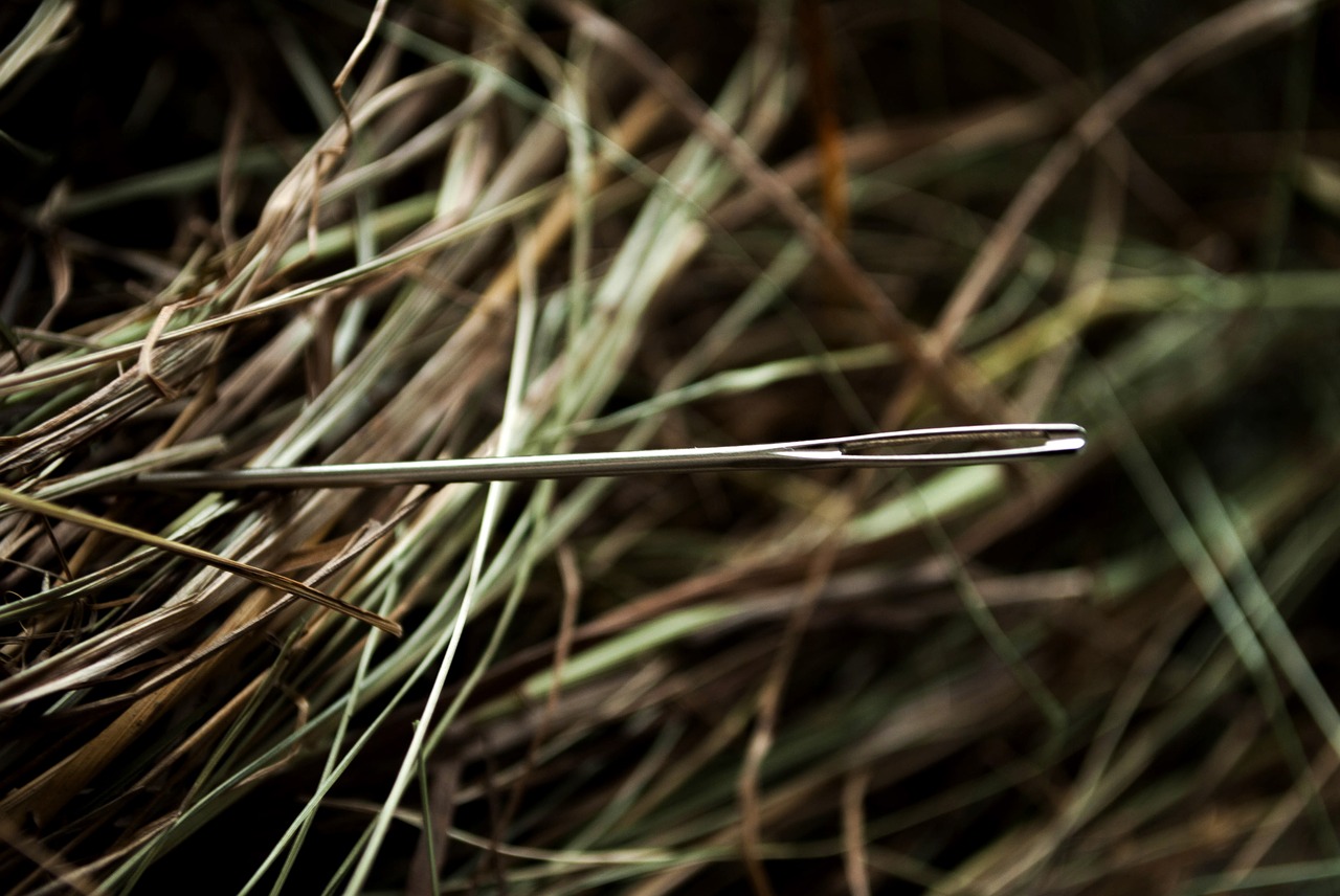 needle hay needle in a haystack free photo