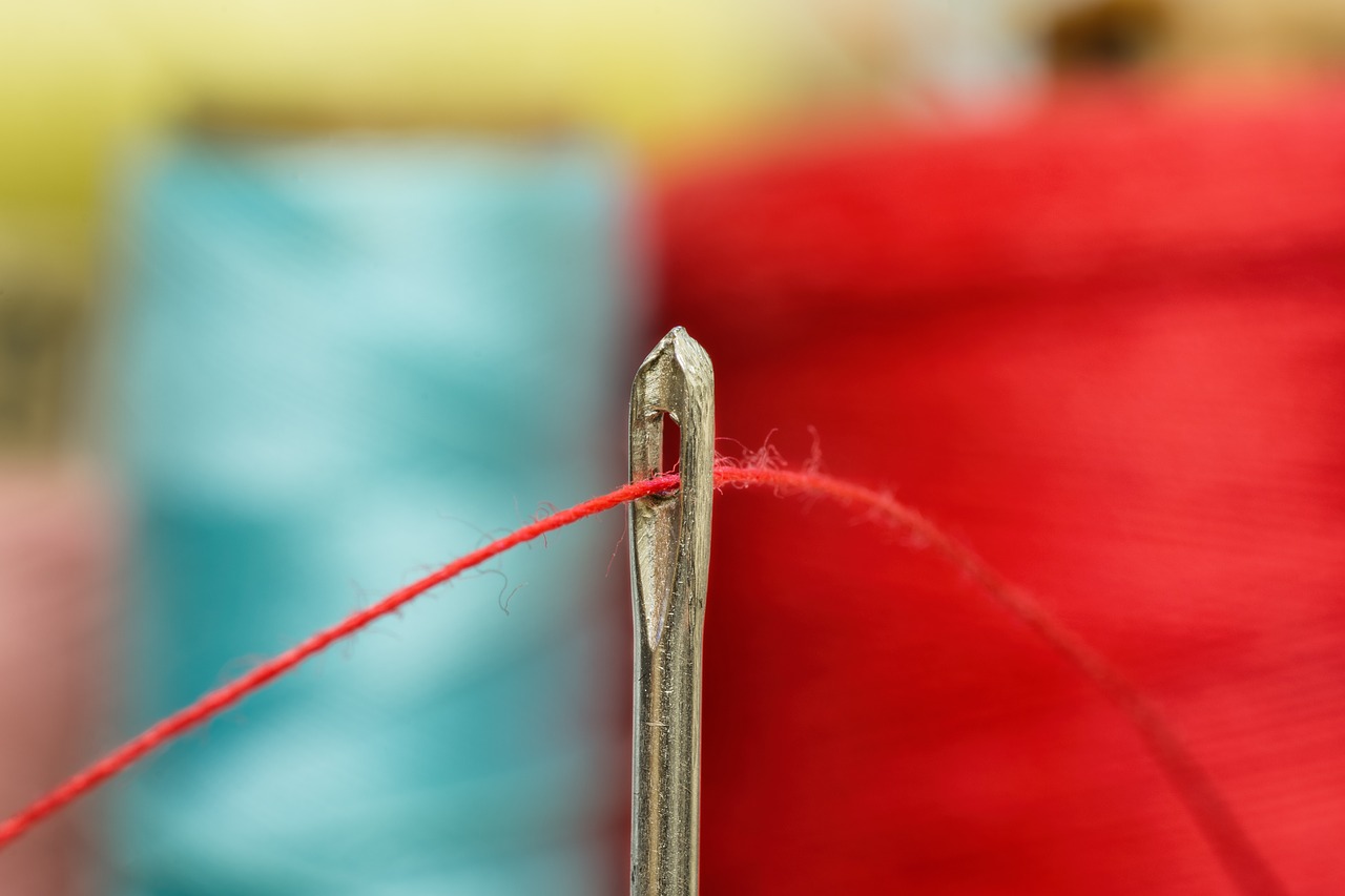 needle  thread  sewing free photo