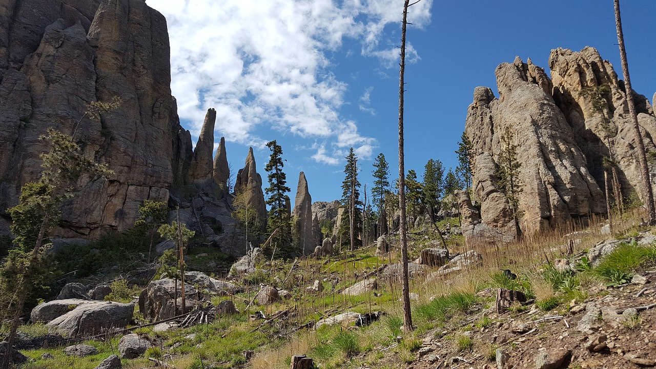 needles custer state park rocks free photo