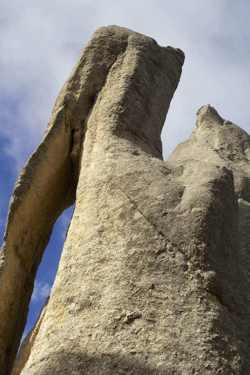 needles highway south dakota black hills free photo