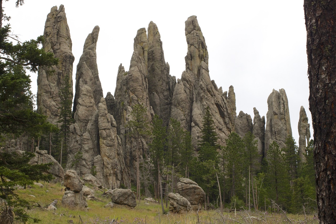 needles highway south dakota black hills free photo