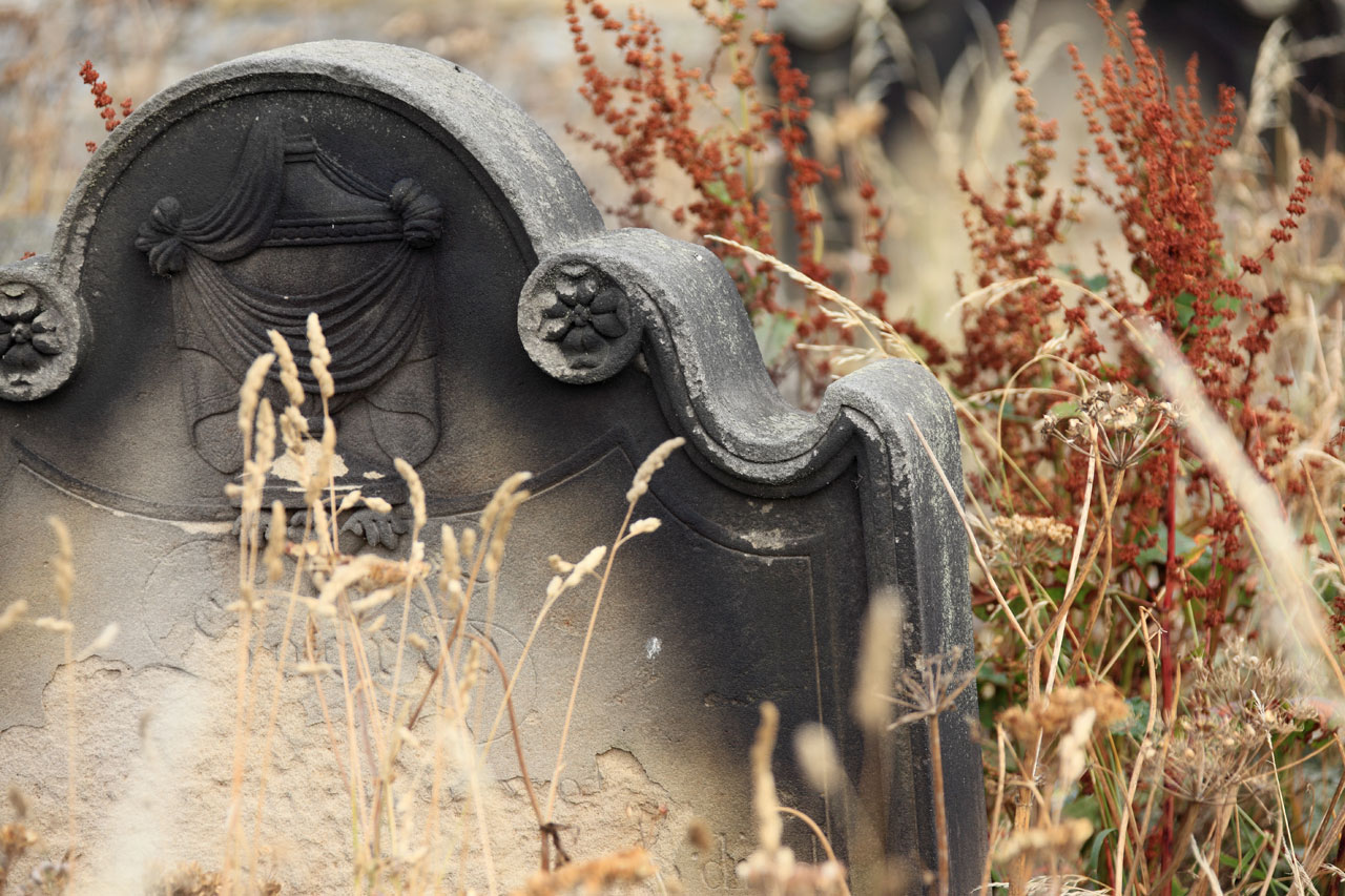 ancient burial cemetery free photo