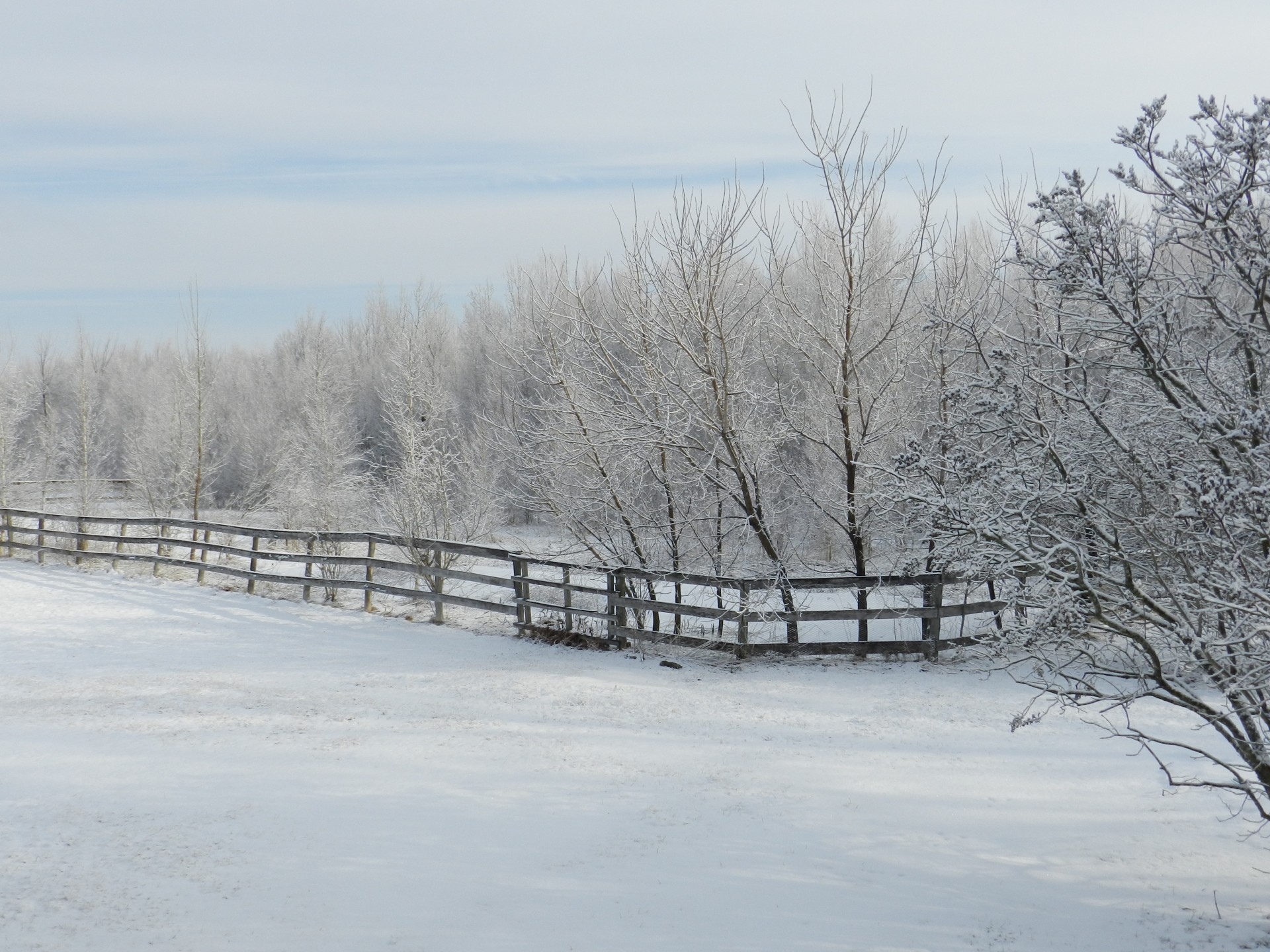 landscape snow winter free photo