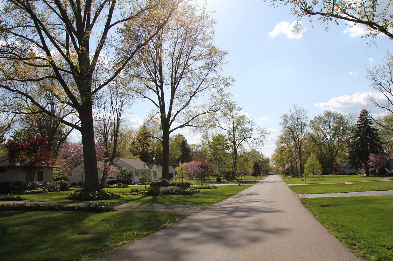 neighborhood spring yard free photo