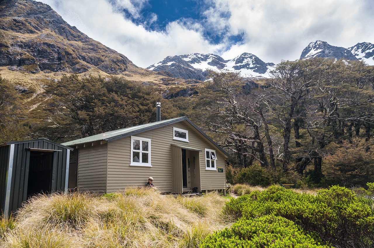 nelson lakes national park  forest  bush free photo