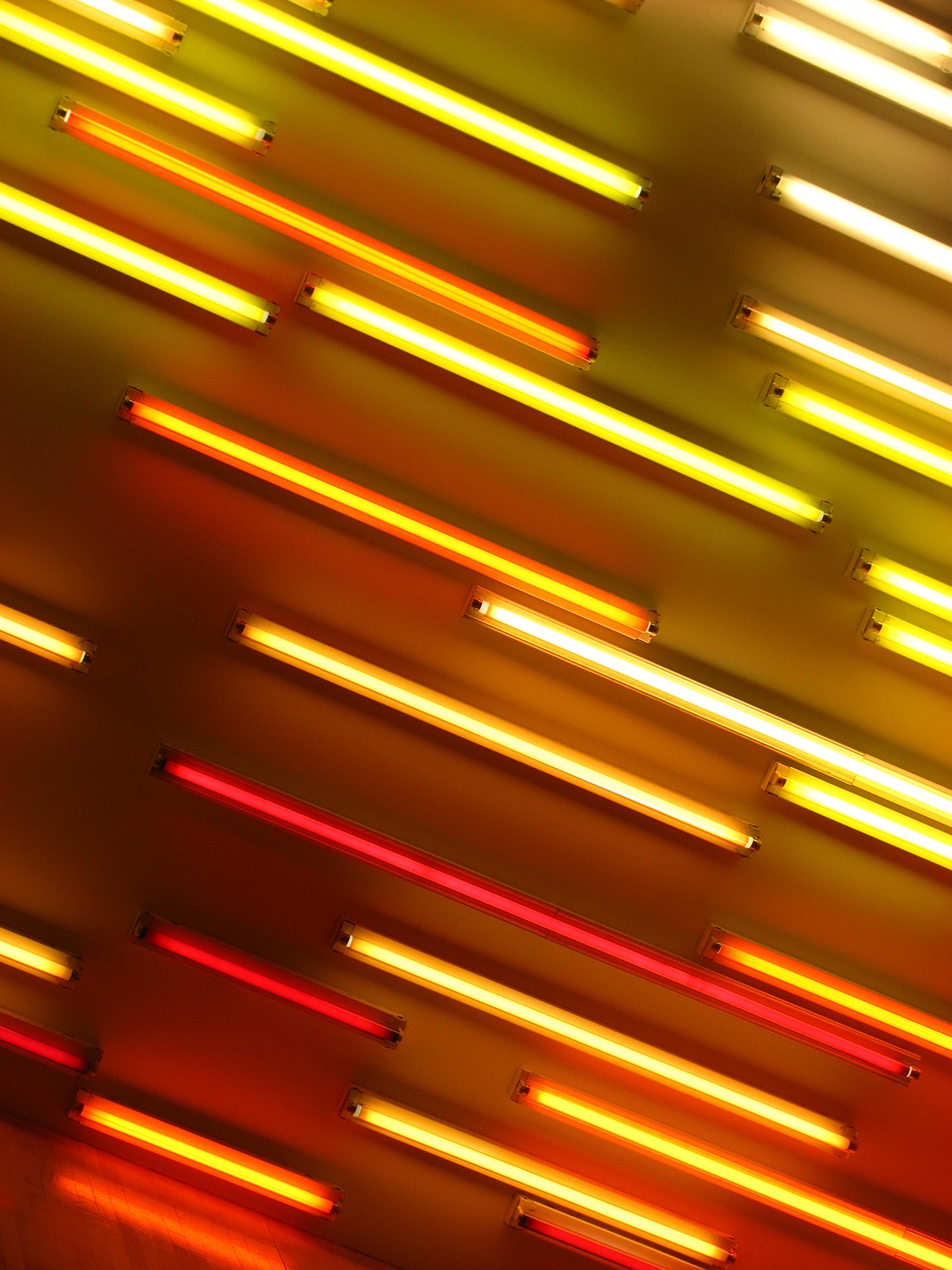 neon neon lights orange free photo