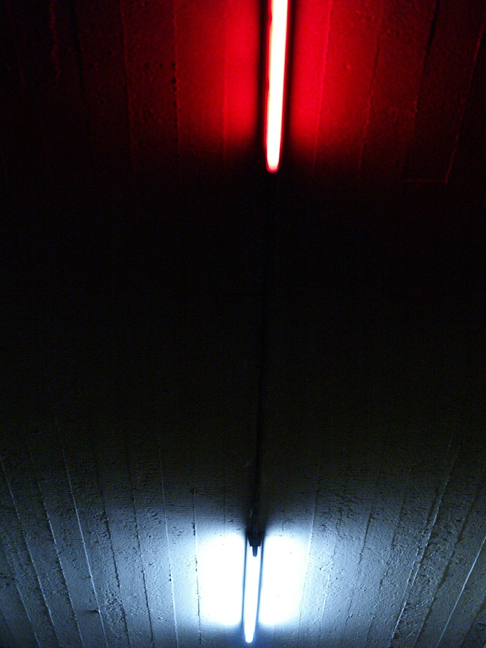 neon lights light red free photo