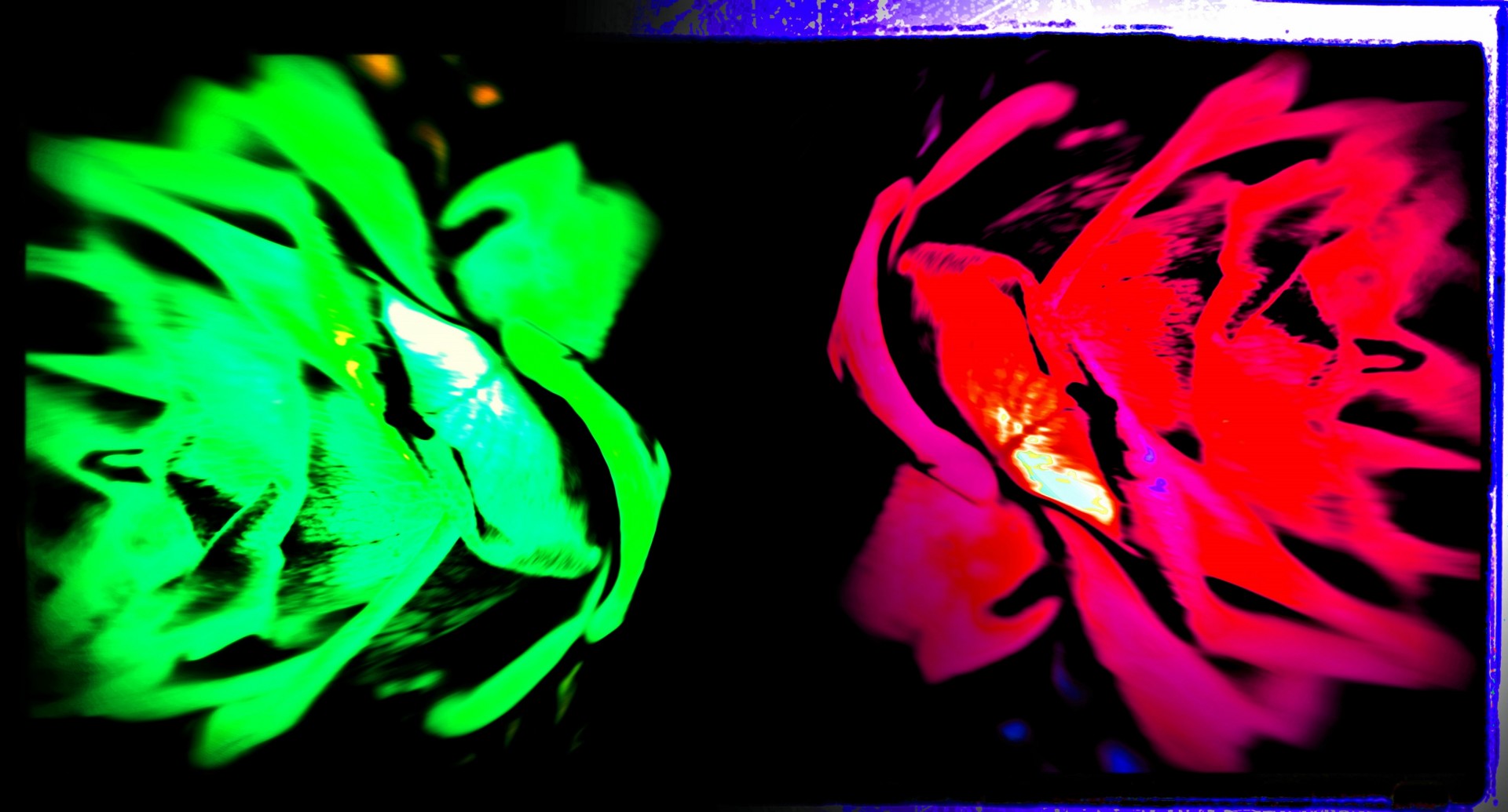 neon rose game free photo